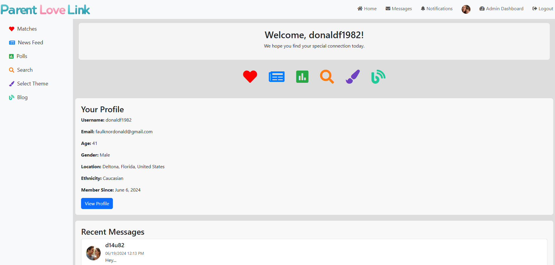 Parent Love Link user dashboard displaying profile, messages, and theme options on desktop view.